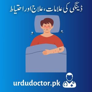 Dengue-Symptoms-in-Urdu-ڈینگی-کی-علامات،-علاج-اور-احتیاط