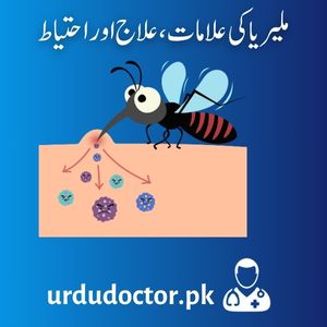 Malaria-Symptoms-in-Urdu-ملیریا-کی-علامات،-علاج-اور-احتیاط