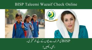بینظیر تعلیمی وظائف آن لائن چیک کریں – BISP 8171…