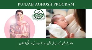پنجاب آغوش پروگرام 2025 – 23 ہزار روپے مالی معاونت…