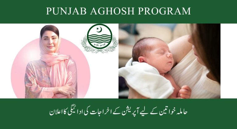پنجاب آغوش پروگرام 2025 – 23 ہزار روپے مالی معاونت حاصل کرنے کا مکمل طریقہ